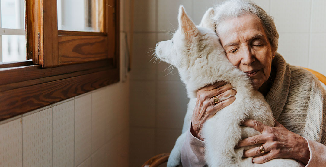 La thérapie animale pour Seniors : un rayon de fourrure dans votre quotidien